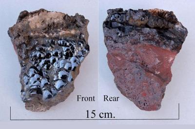 Hematite. Kidney ore var. Morocco. Bill Bagley Rocks and Minerals